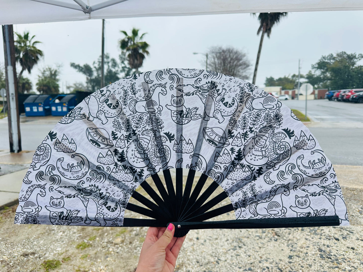 📸Doodle (Small Fan)