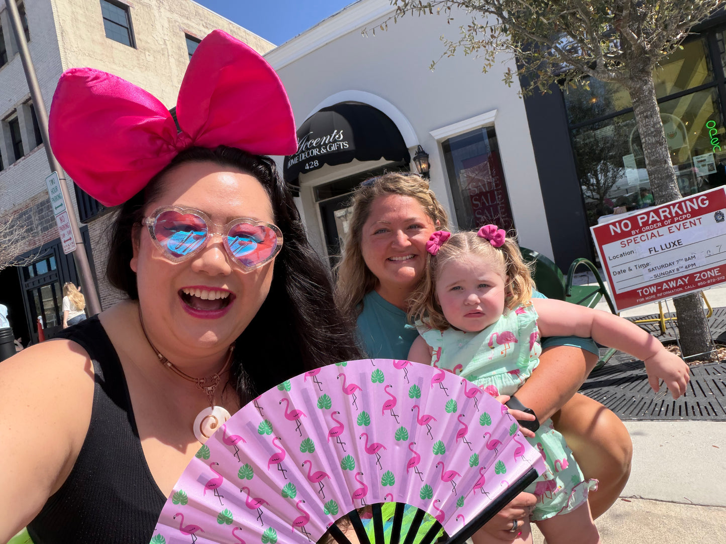 Tropical Pink Flamingos (Small Fan)