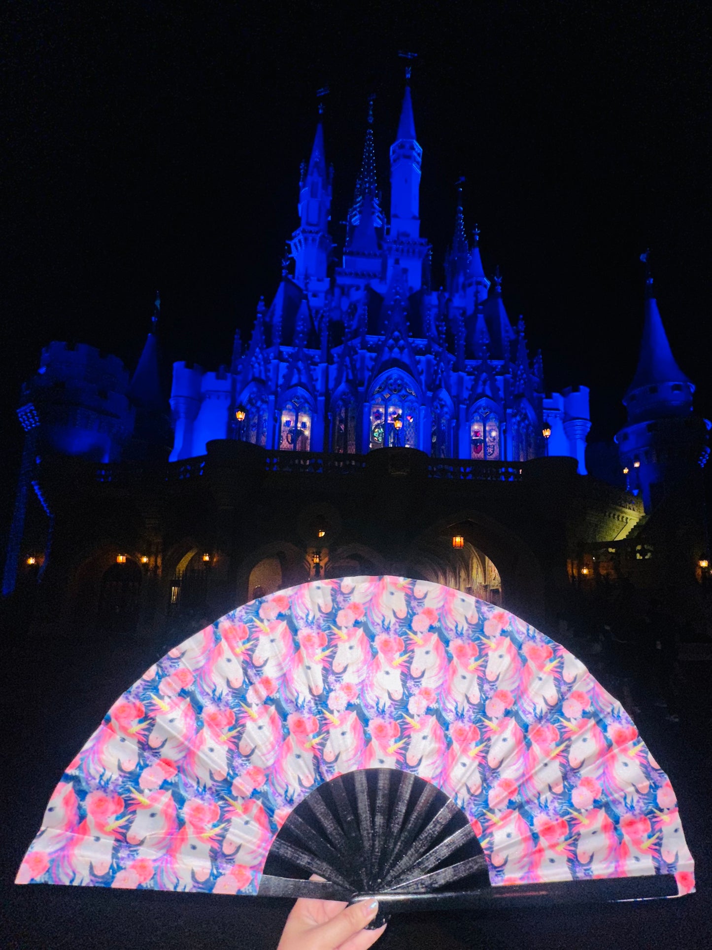 Unicorns (Large Fan)